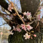 Nächster Halt, Berlin